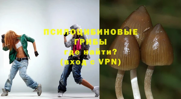кокс Абаза