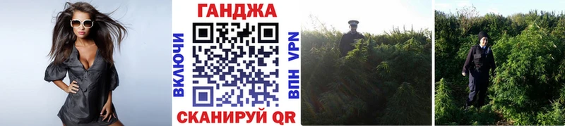 Конопля THC 21%  Вичуга 